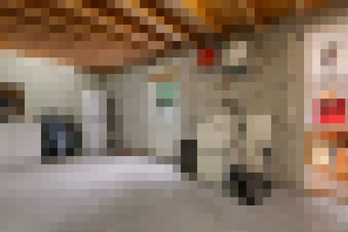 Elzent 27 Gemert thumbnail 42
