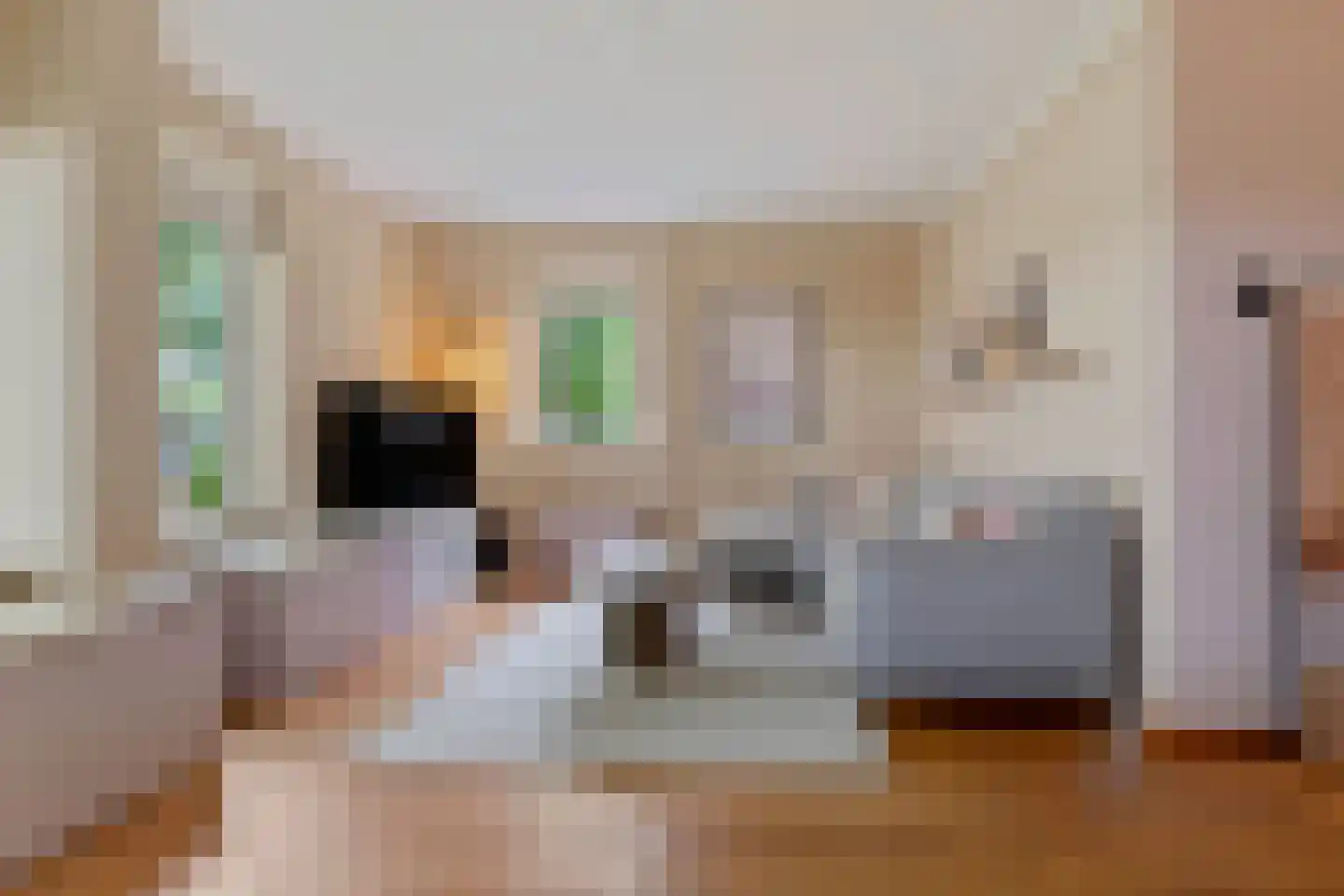 Elzent 27 Gemert thumbnail 5