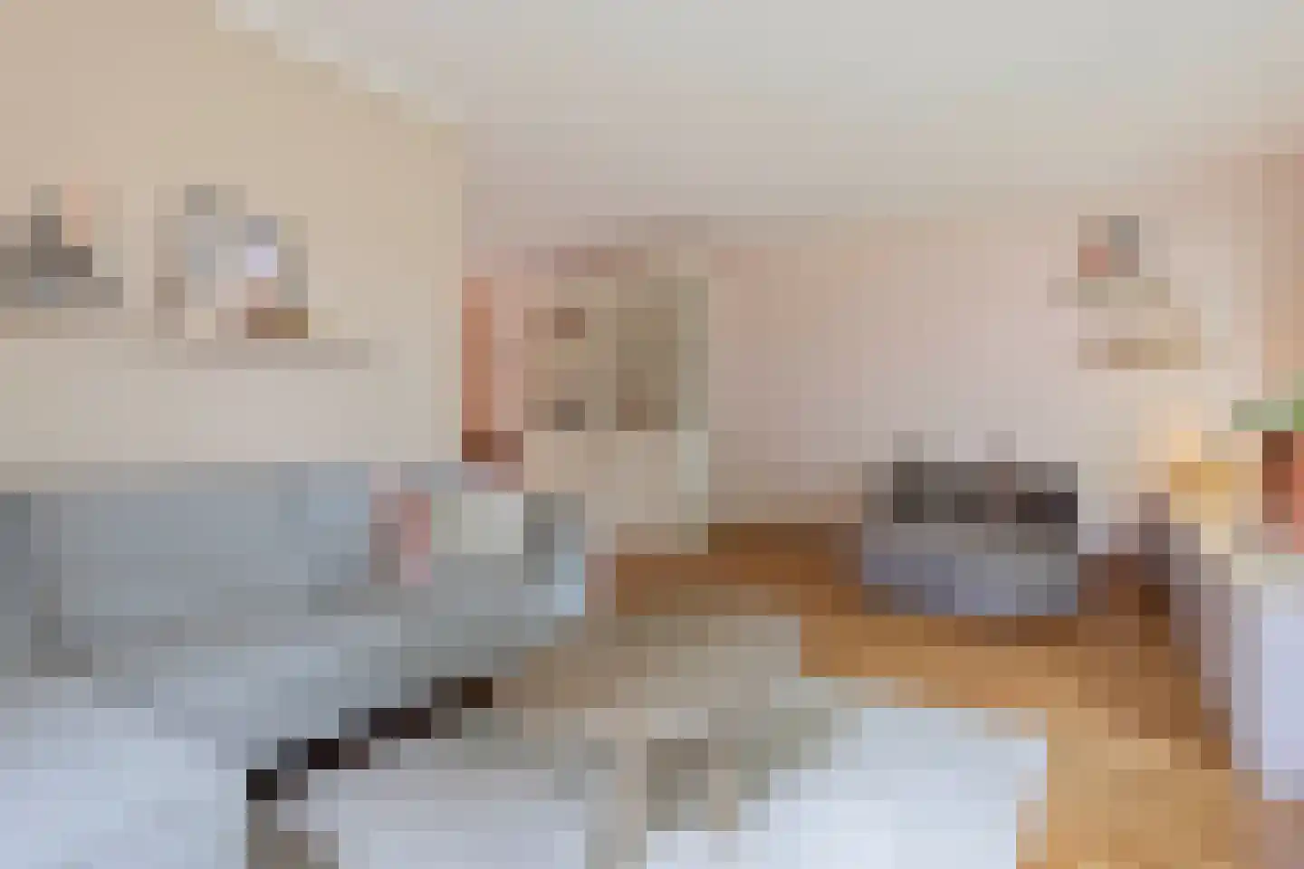 Elzent 27 Gemert thumbnail 7