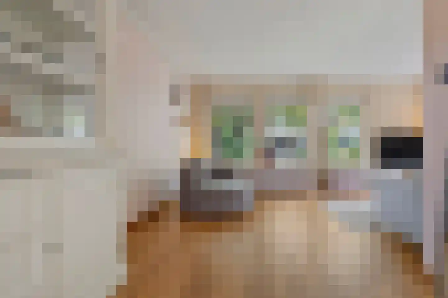 Elzent 27 Gemert thumbnail 8