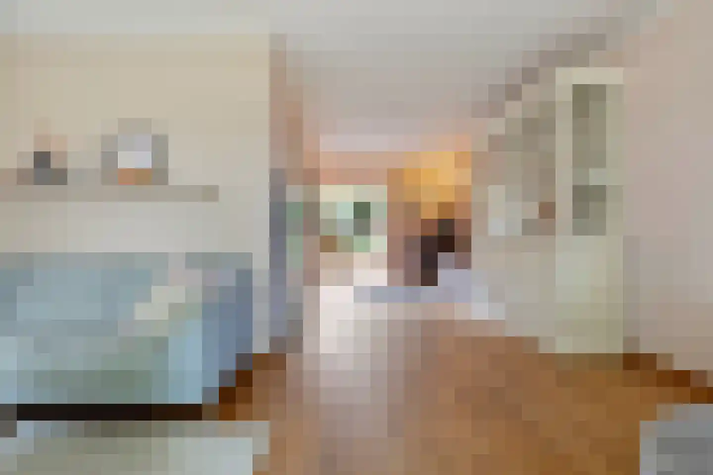 Elzent 27 Gemert thumbnail 9