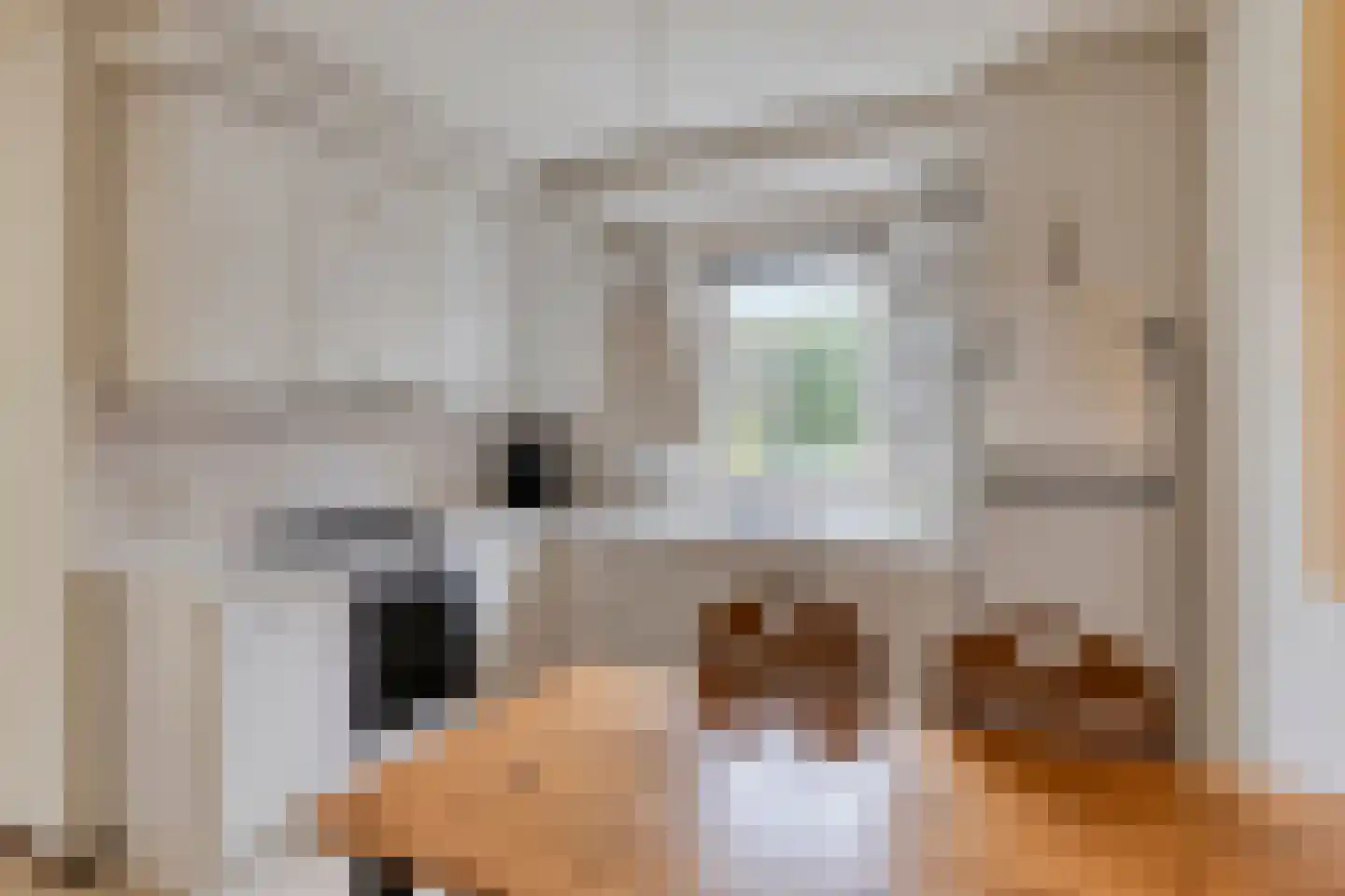 Elzent 34 Gemert thumbnail 25