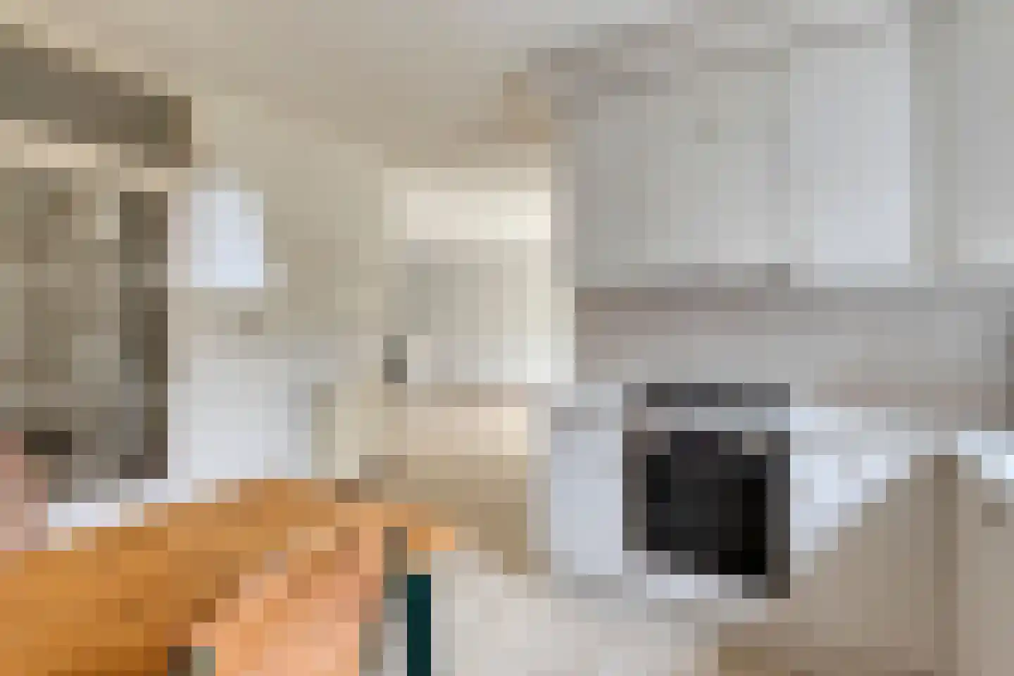 Elzent 34 Gemert thumbnail 27