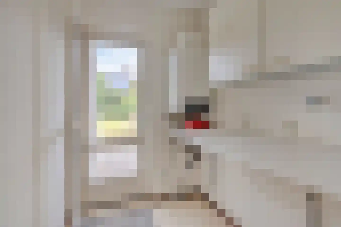 Elzent 34 Gemert thumbnail 28