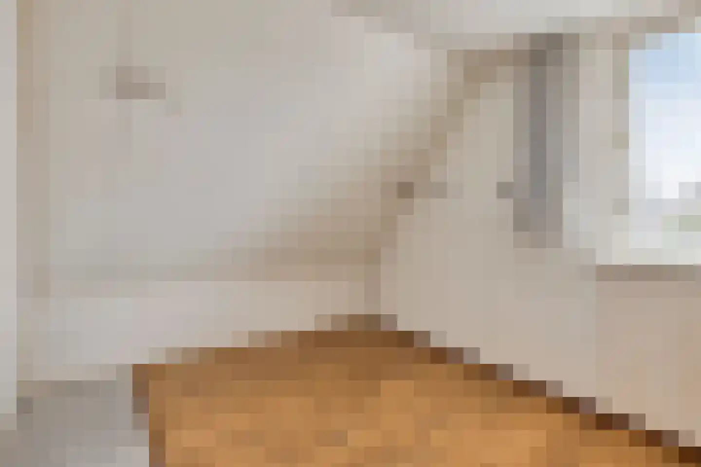 Elzent 34 Gemert thumbnail 34