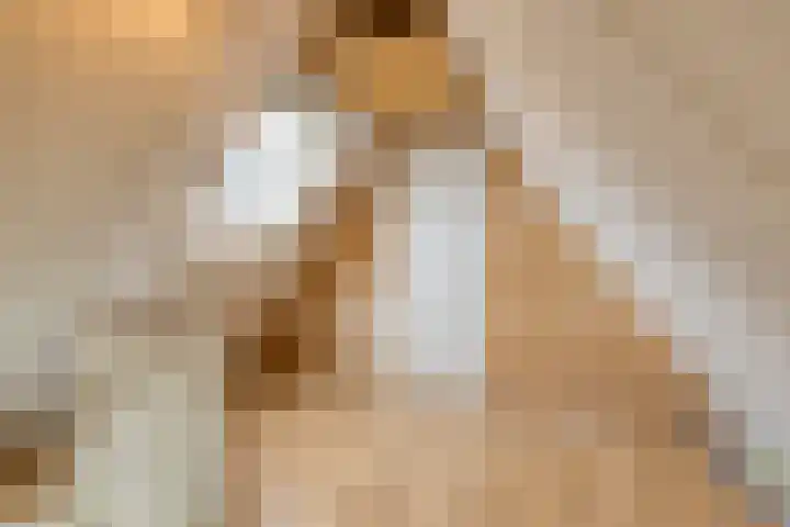 Elzent 34 Gemert thumbnail 35