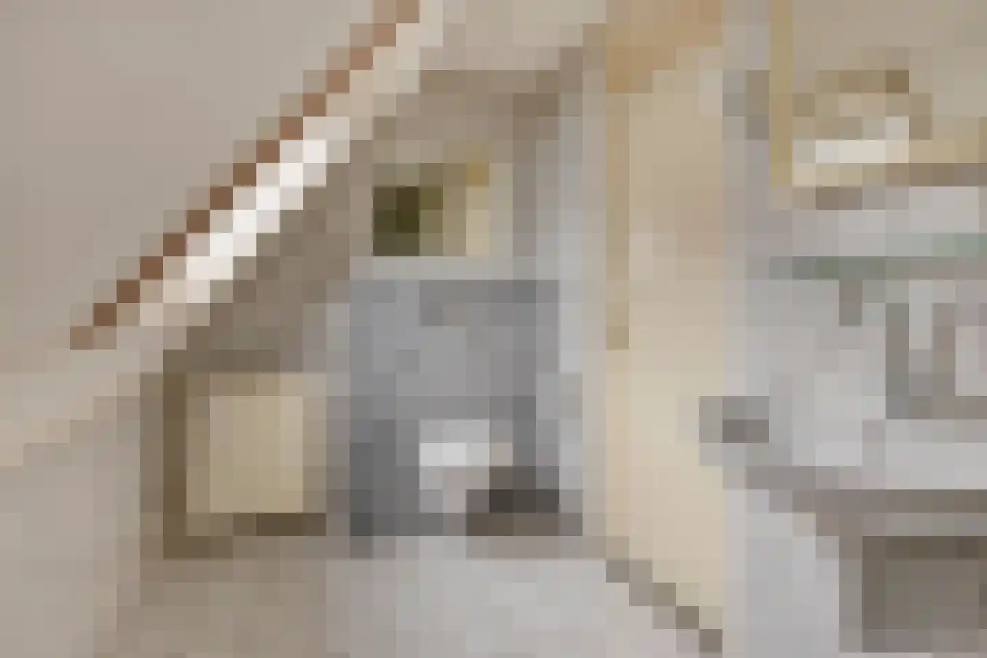 Elzent 34 Gemert thumbnail 38