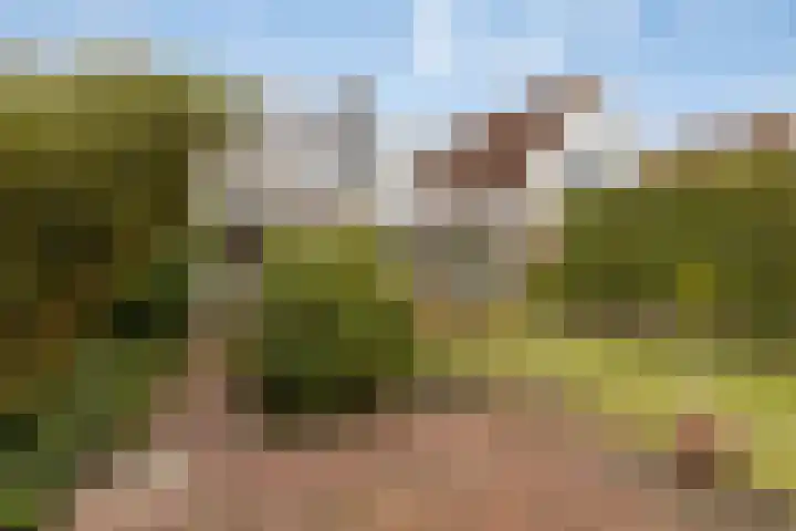 Elzent 34 Gemert thumbnail 39