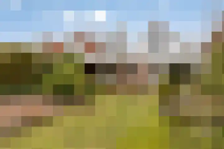 Elzent 34 Gemert thumbnail 40