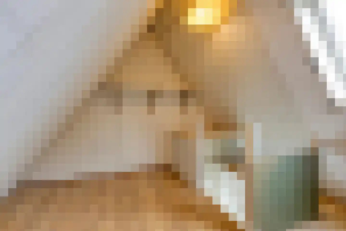 Elzent 34 Gemert thumbnail 42