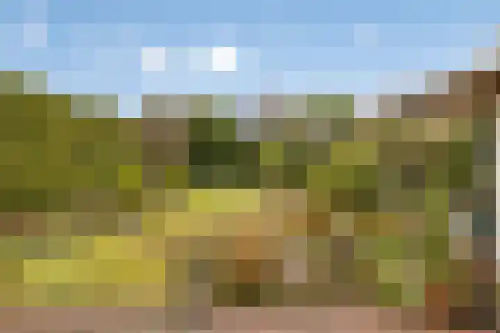 Elzent 34 Gemert thumbnail 42