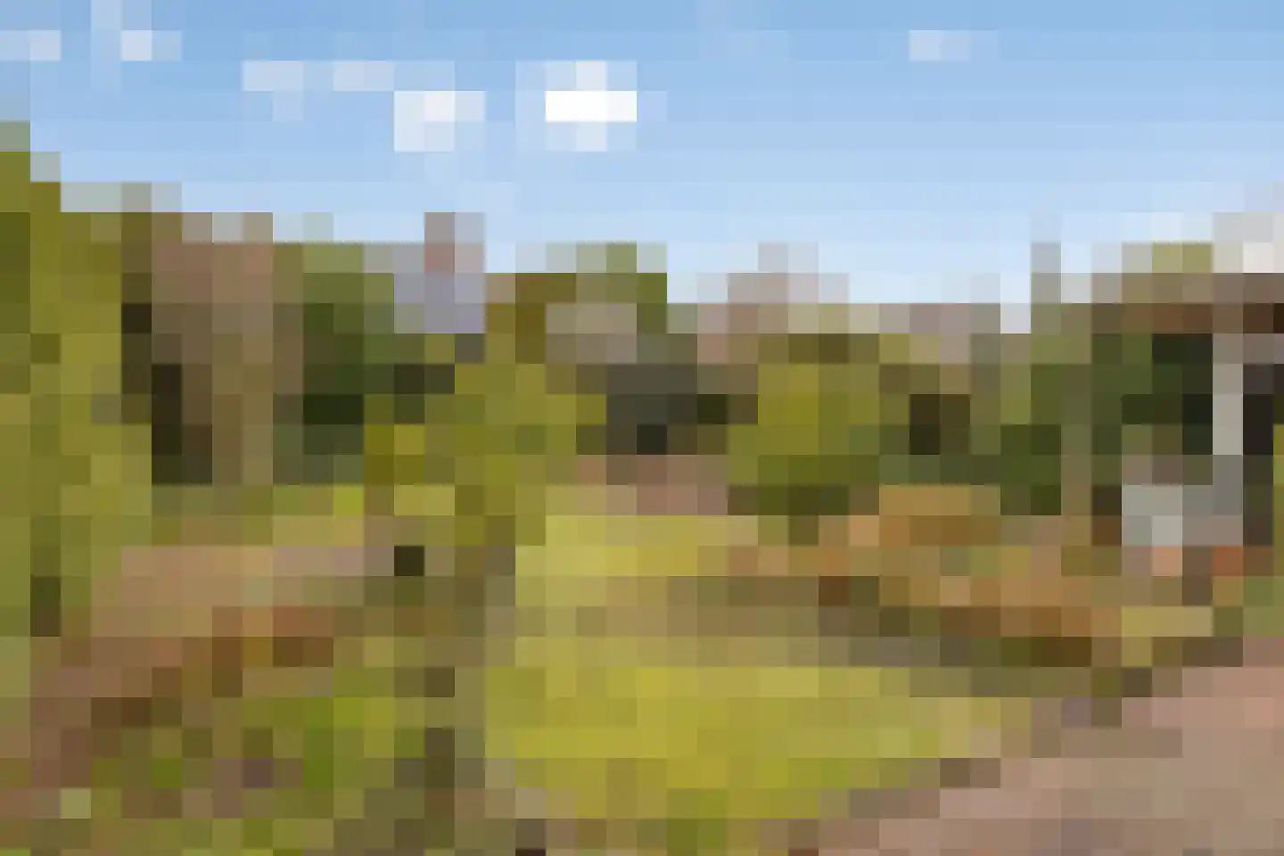 Elzent 34 Gemert thumbnail 44