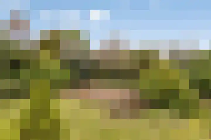 Elzent 34 Gemert thumbnail 46