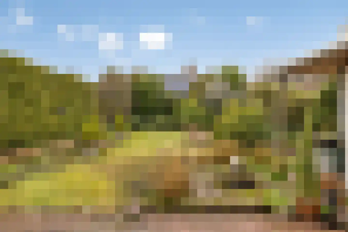 Elzent 34 Gemert thumbnail 46