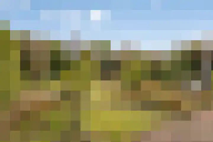 Elzent 34 Gemert thumbnail 47