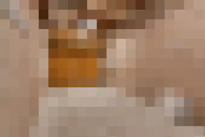 Elzent 34 Gemert thumbnail 48