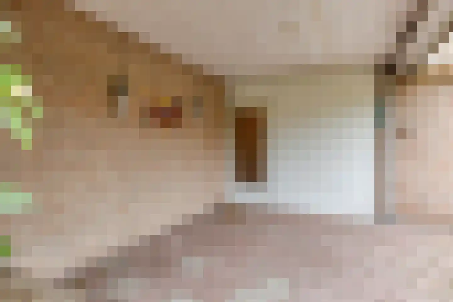 Elzent 34 Gemert thumbnail 50