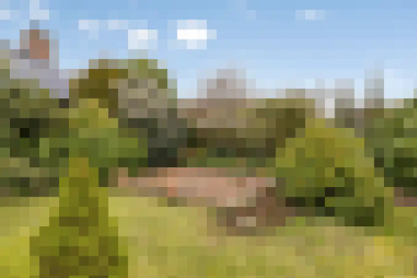 Elzent 34 Gemert thumbnail 55