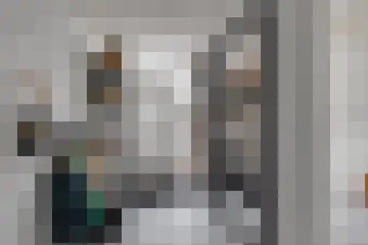 Elzent 39 Gemert thumbnail 13