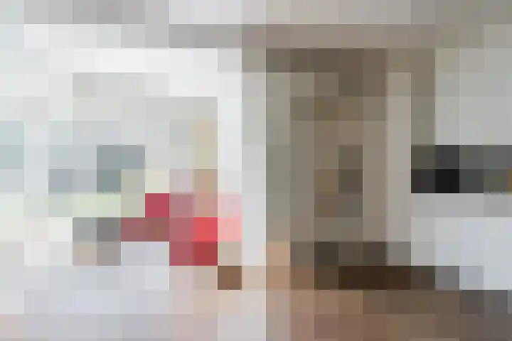 Elzent 39 Gemert thumbnail 14