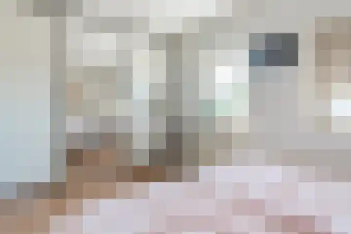 Elzent 39 Gemert thumbnail 22