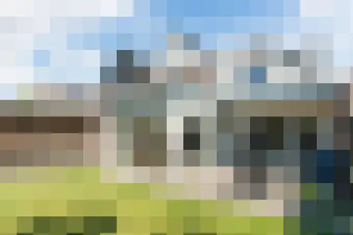 Elzent 39 Gemert thumbnail 29