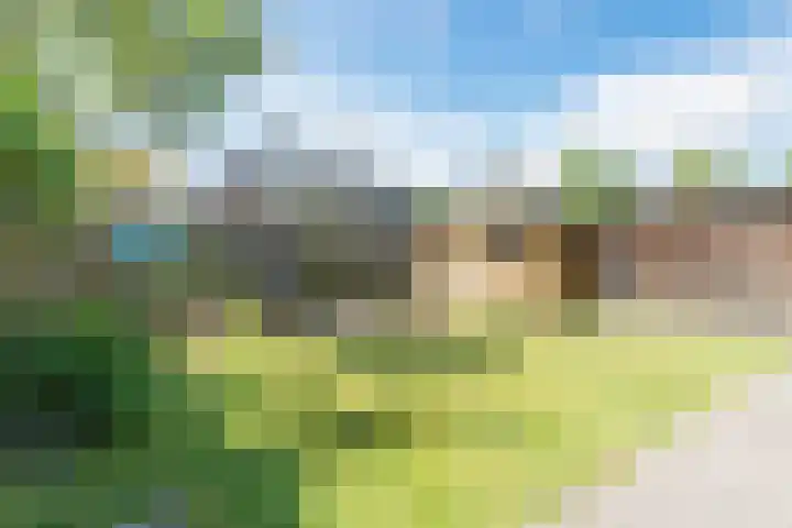 Elzent 39 Gemert thumbnail 32