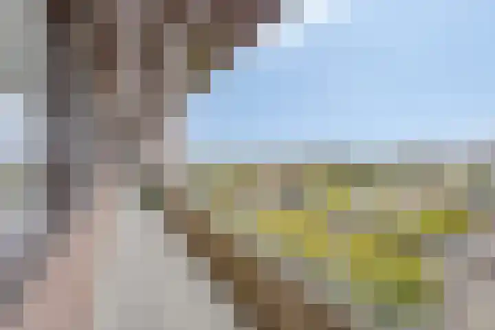 Elzentlaan 111 Eindhoven thumbnail 11