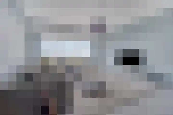 Elzentlaan 111 Eindhoven thumbnail 17