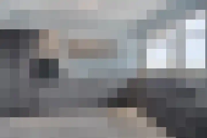 Elzentlaan 111 Eindhoven thumbnail 21