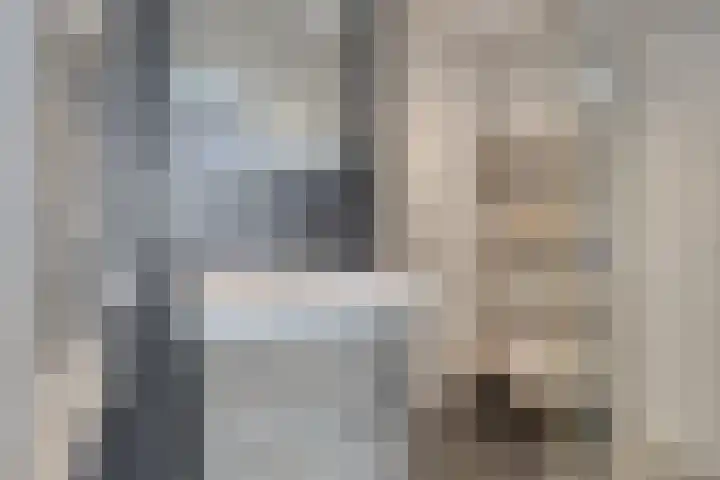 Elzentlaan 111 Eindhoven thumbnail 28