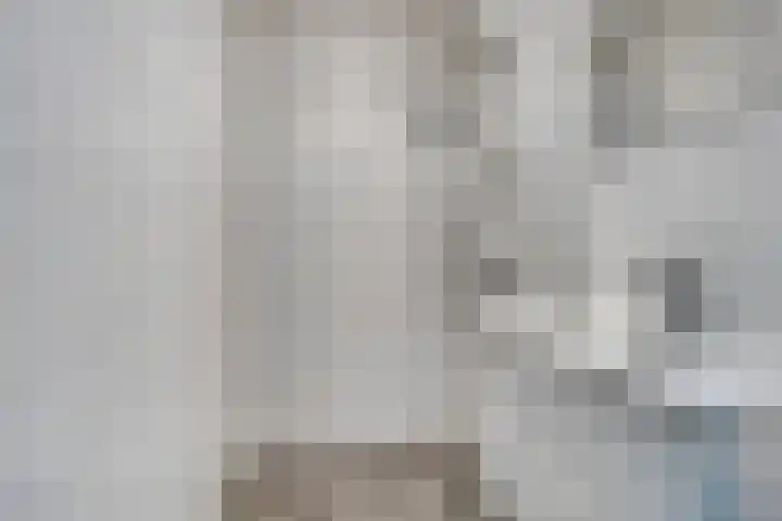Elzentlaan 111 Eindhoven thumbnail 33