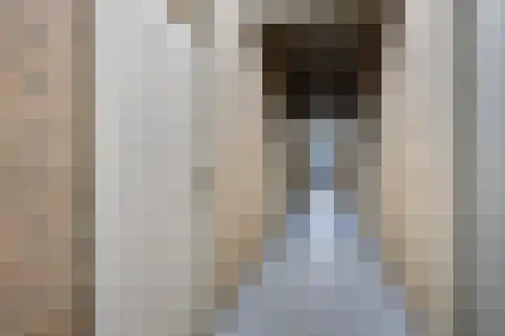 Elzentlaan 111 Eindhoven thumbnail 36