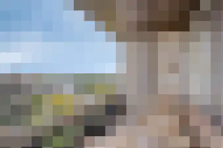 Elzentlaan 111 Eindhoven thumbnail 37