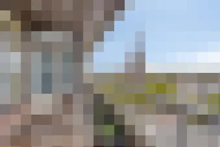 Elzentlaan 111 Eindhoven thumbnail 38