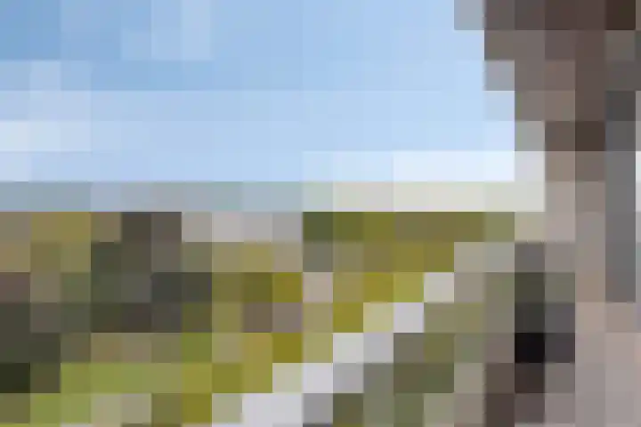 Elzentlaan 111 Eindhoven thumbnail 39