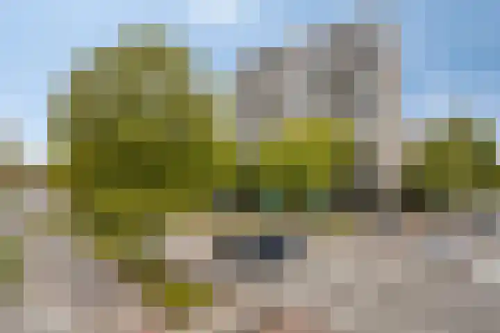 Elzentlaan 111 Eindhoven thumbnail 4
