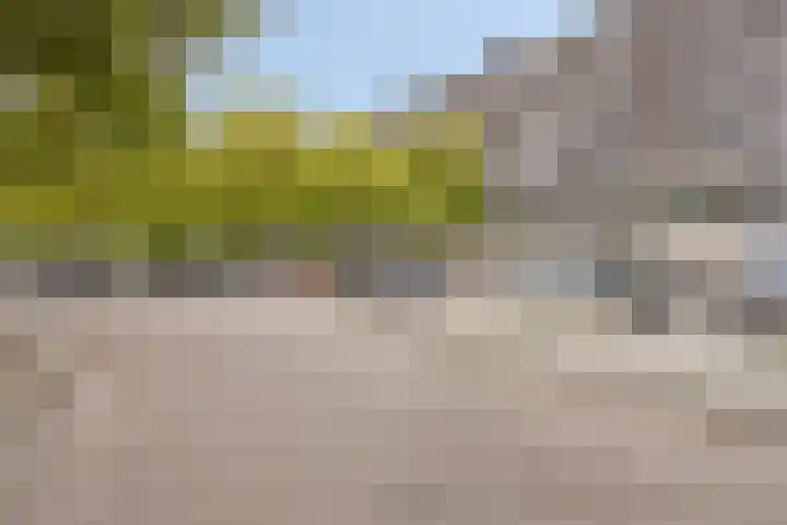 Elzentlaan 111 Eindhoven thumbnail 41