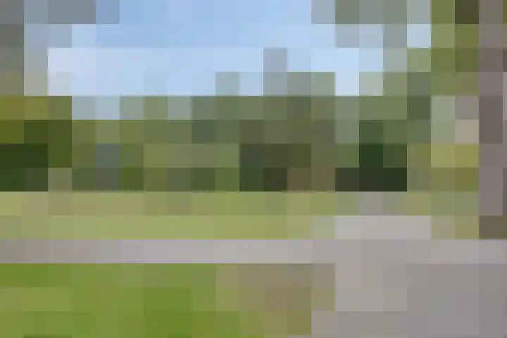 Elzentlaan 111 Eindhoven thumbnail 43