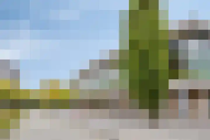 Elzentlaan 111 Eindhoven thumbnail 44