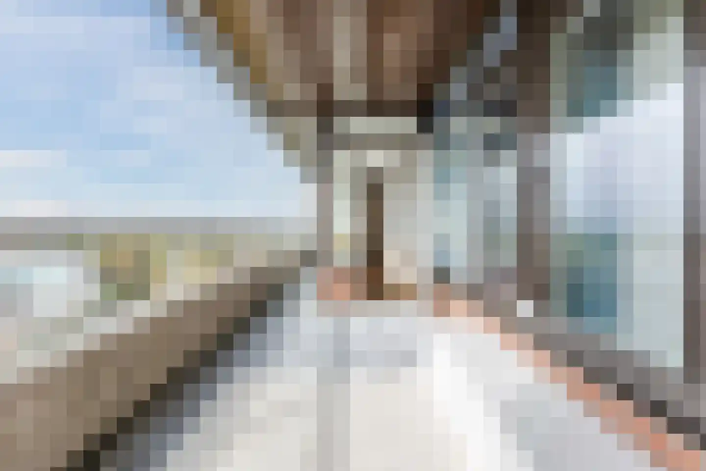 Elzentlaan 125 Eindhoven thumbnail 24