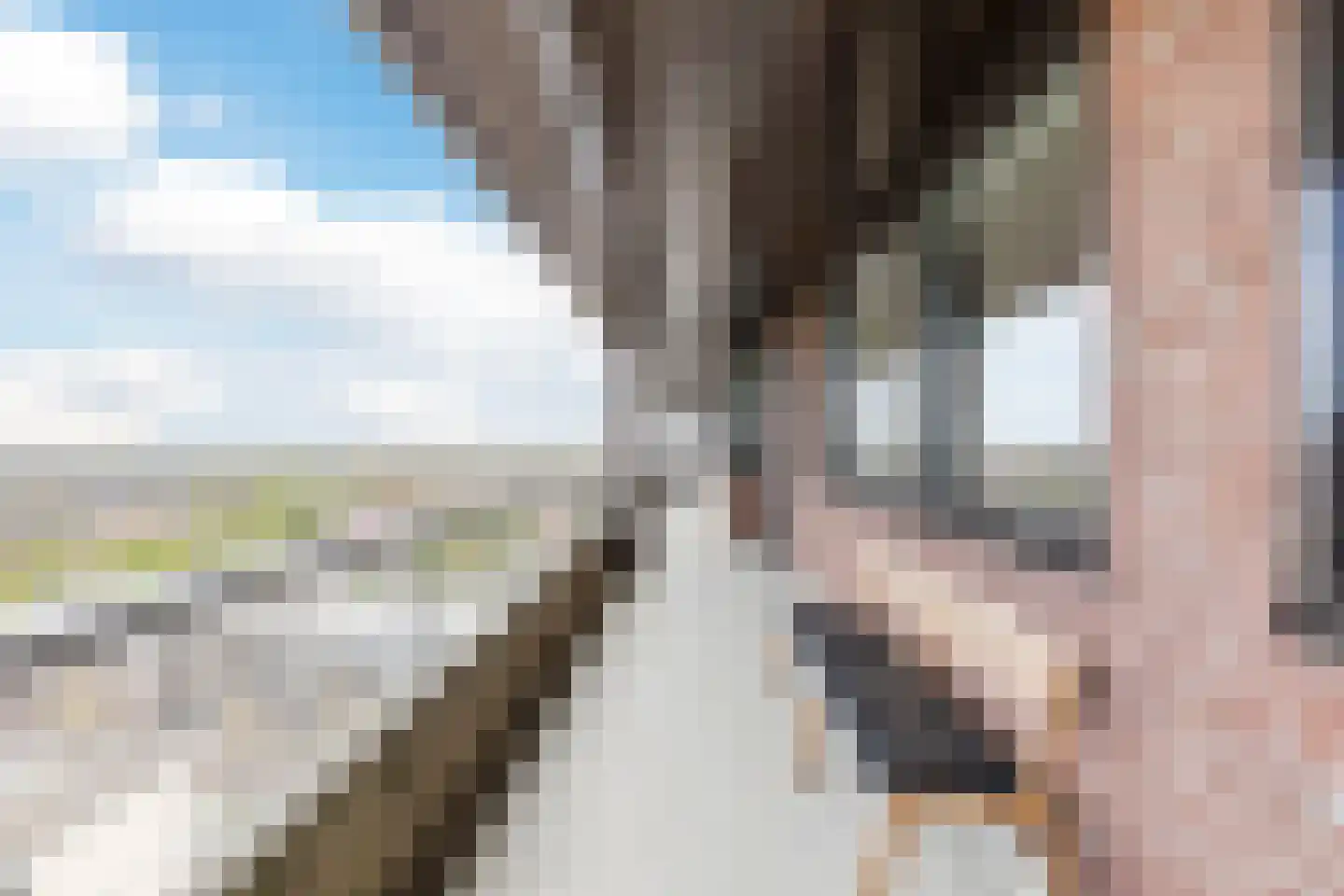 Elzentlaan 125 Eindhoven thumbnail 5