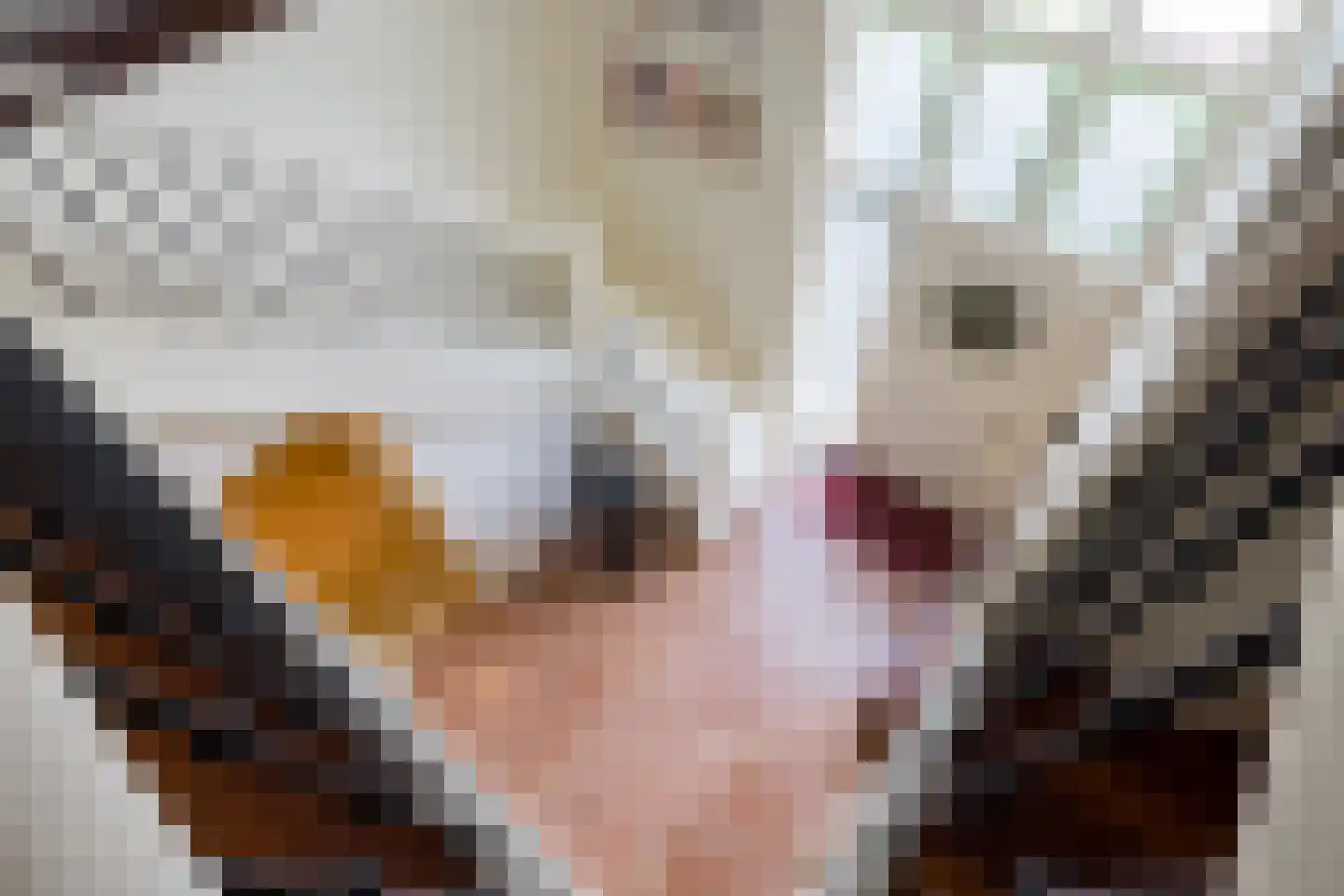 Elzentlaan 38 Eindhoven thumbnail 10