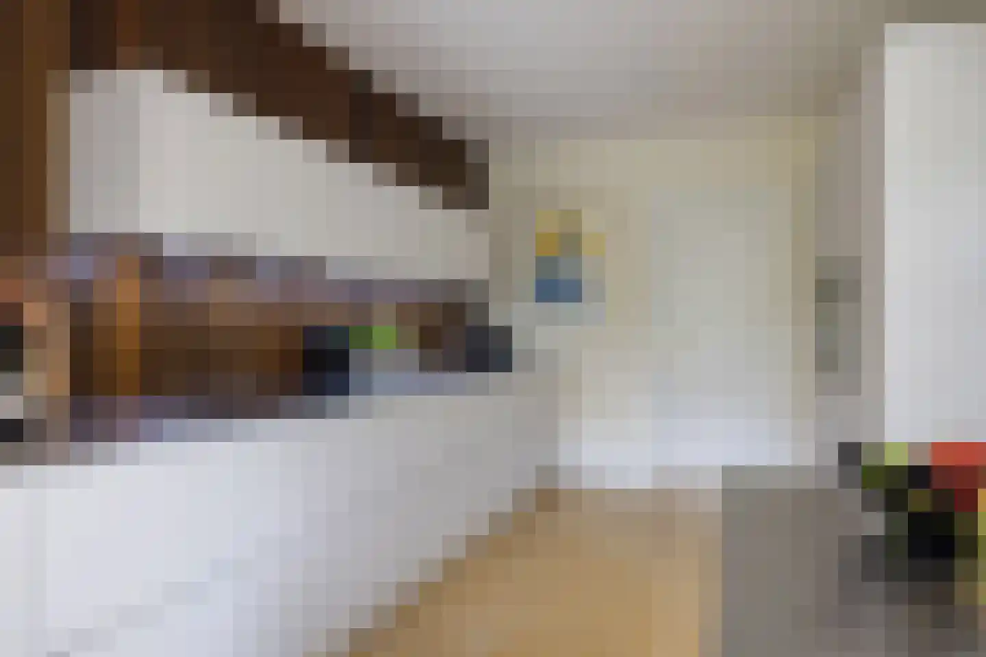 Elzentlaan 38 Eindhoven thumbnail 24