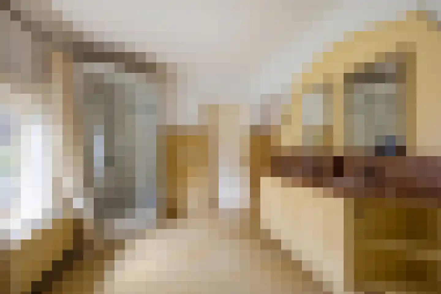 Elzentlaan 38 Eindhoven thumbnail 29