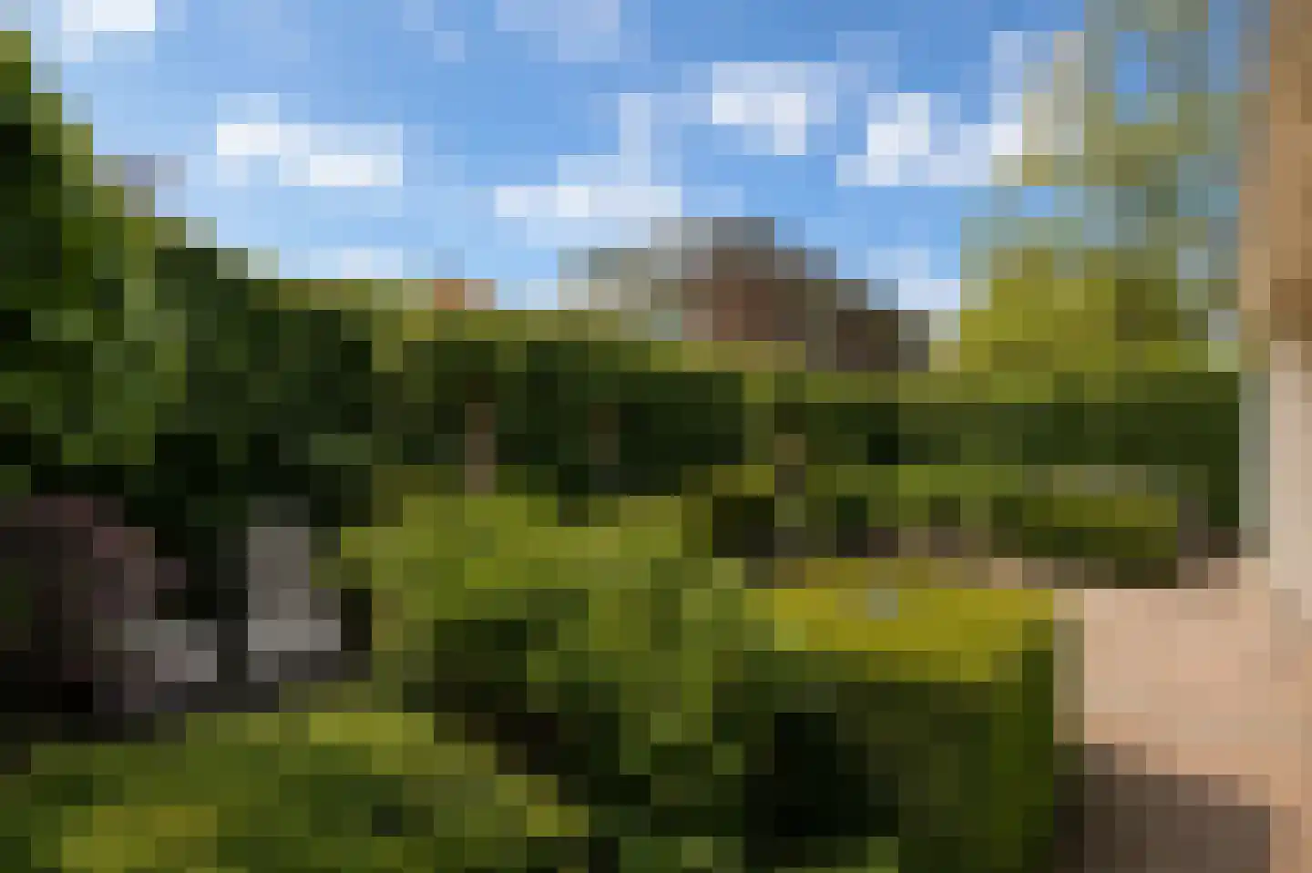 Elzentlaan 38 Eindhoven thumbnail 39