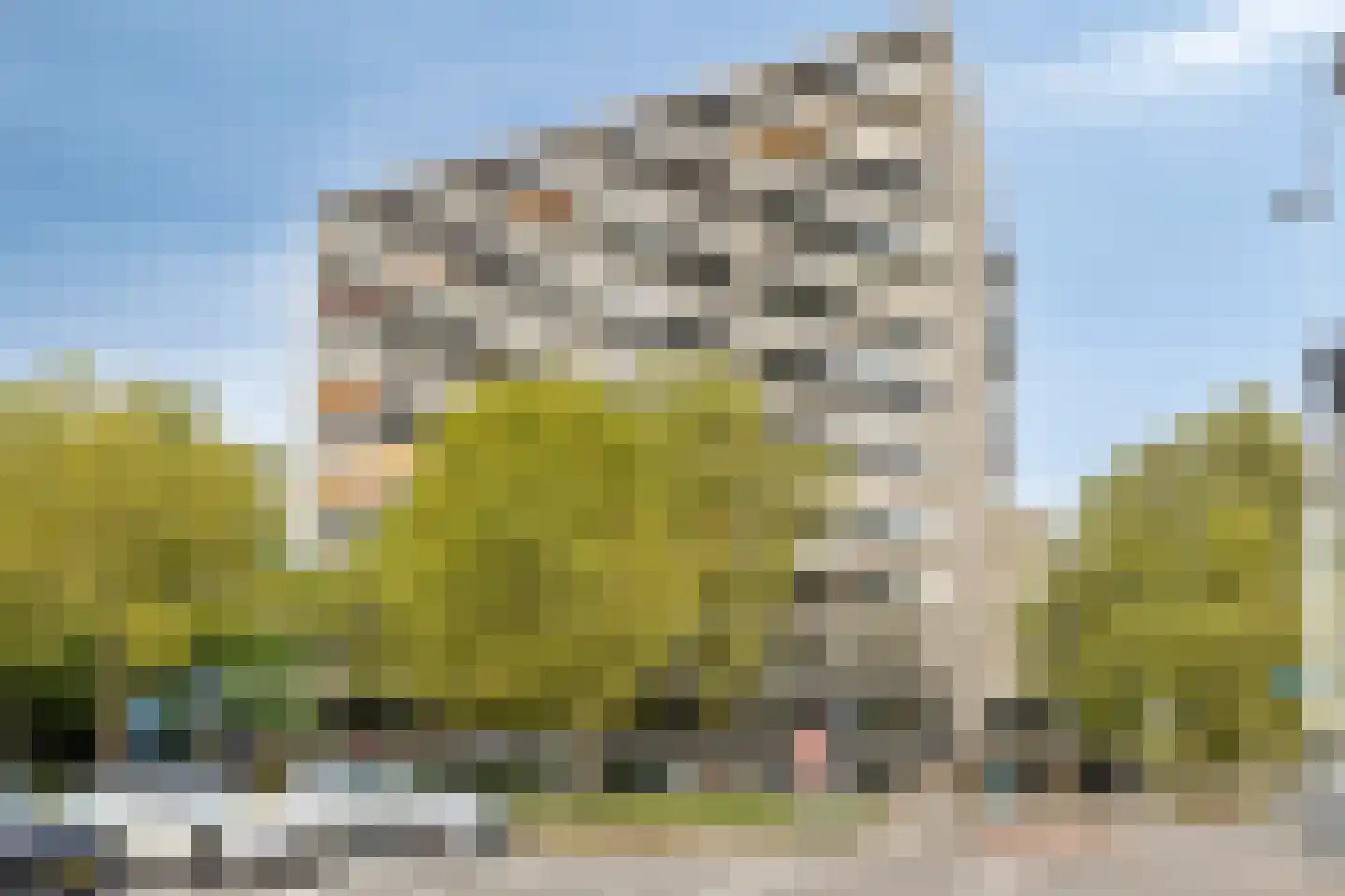 Elzentlaan 55 in Eindhoven