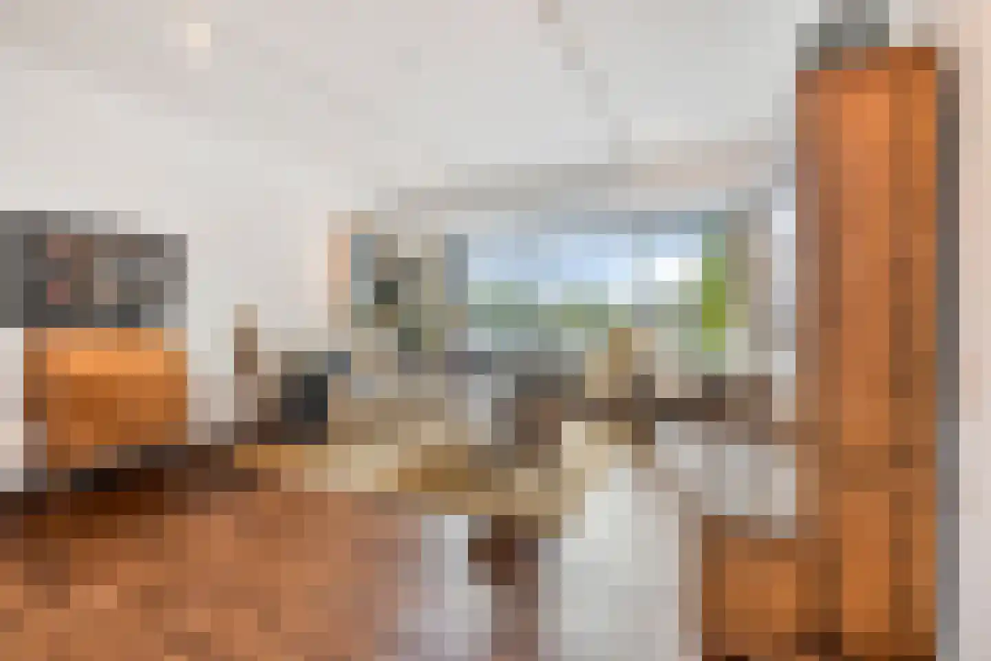 Elzentlaan 55 Eindhoven thumbnail 18