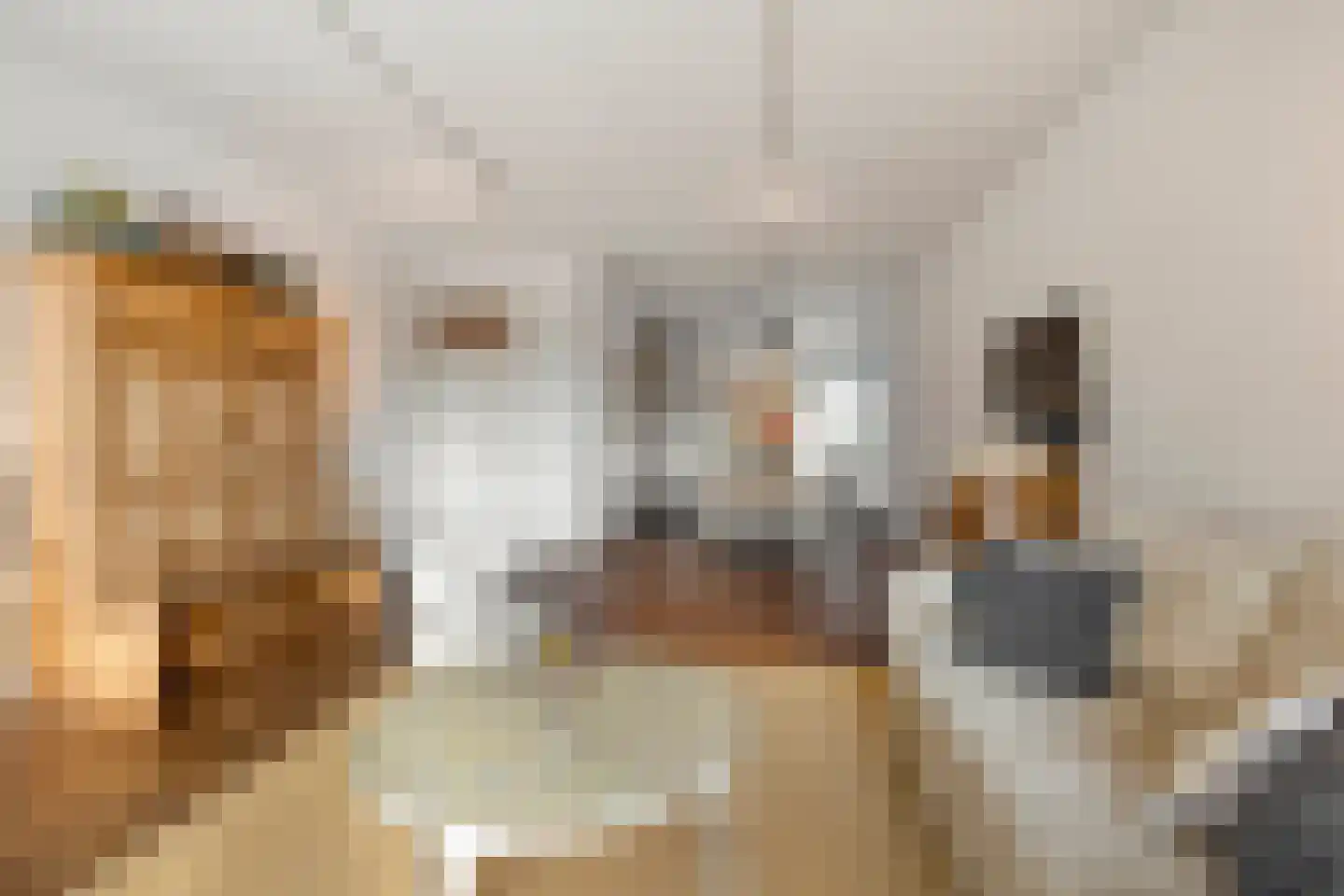 Elzentlaan 55 Eindhoven thumbnail 19