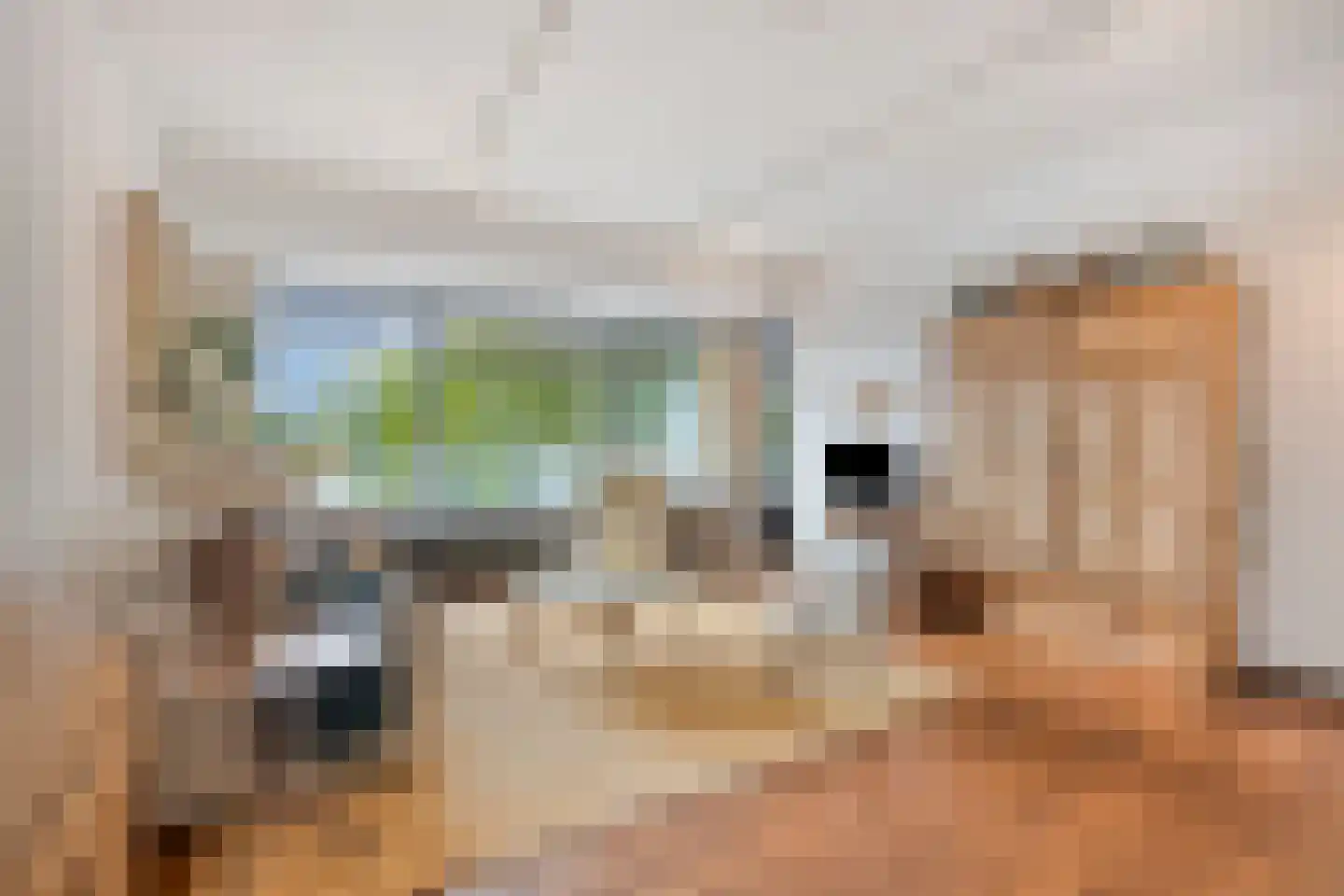 Elzentlaan 55 Eindhoven thumbnail 20